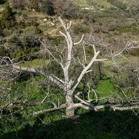 بيت للعطل Dimitrios Cretan Piece & Nature *
