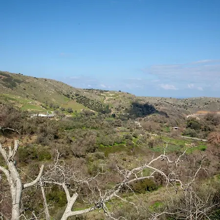 Dimitrios Cretan Piece & Nature *
